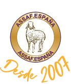 logo-asef-2017